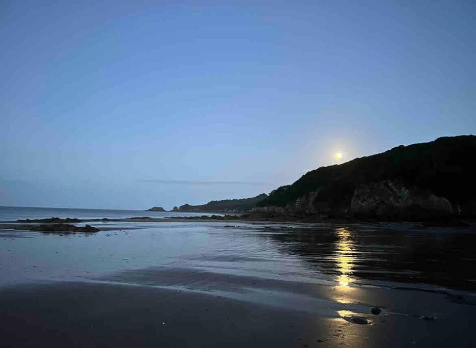 Rhodewood House Saundersfoot Apartment Екстериор снимка
